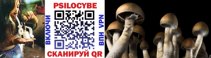 Псилоцибиновые грибы Cubensis  Сухиничи 